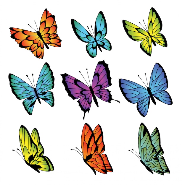 Colección de coloridas mariposas