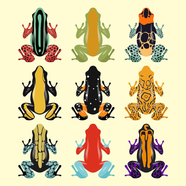 Vector colección de coloridas ranas venenosas de dardos una exhibición vibrante