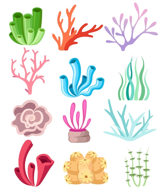 Vector colección de coloridos corales y algas. floral de aguas profundas. flora y fauna oceánica. ilustración sobre fondo blanco