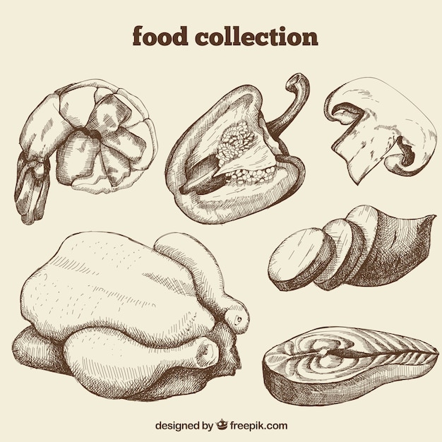 Vector colección de comida dibujada a mano
