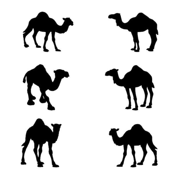 colección de conjunto de silueta de camello aislado negro sobre fondo blanco ilustración vectorial