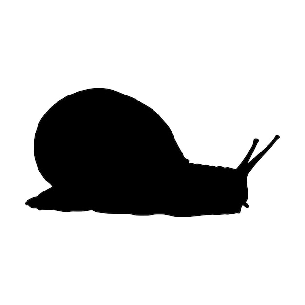 colección de conjunto de silueta de caracol aislado negro sobre fondo blanco ilustración vectorial