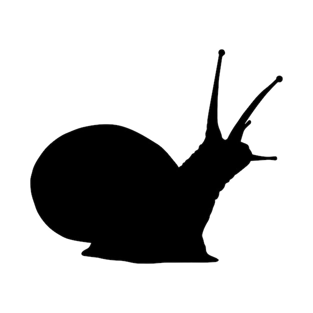 Colección de conjunto de silueta de caracol aislado negro sobre fondo blanco ilustración vectorial