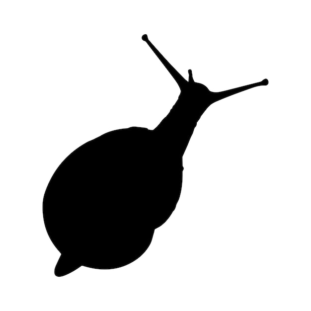 colección de conjunto de silueta de caracol aislado negro sobre fondo blanco ilustración vectorial