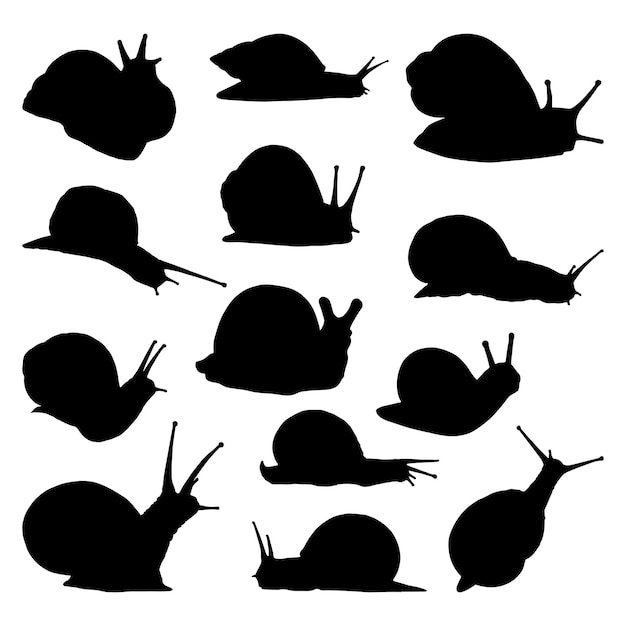 colección de conjunto de silueta de caracol aislado negro sobre fondo blanco ilustración vectorial