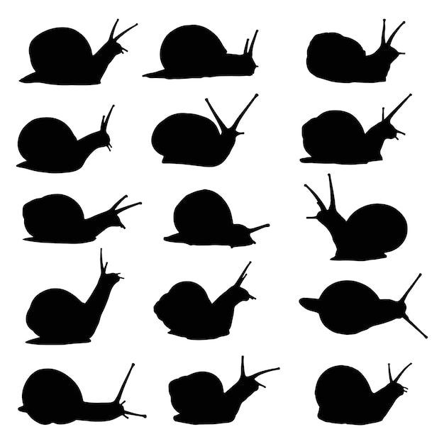 colección de conjunto de silueta de caracol aislado negro sobre fondo blanco ilustración vectorial