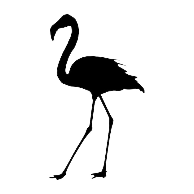 colección de conjunto de silueta de flamenco aislado negro sobre fondo blanco ilustración vectorial