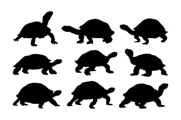 Vector colección de conjuntos de siluetas de tortugas vectoriales