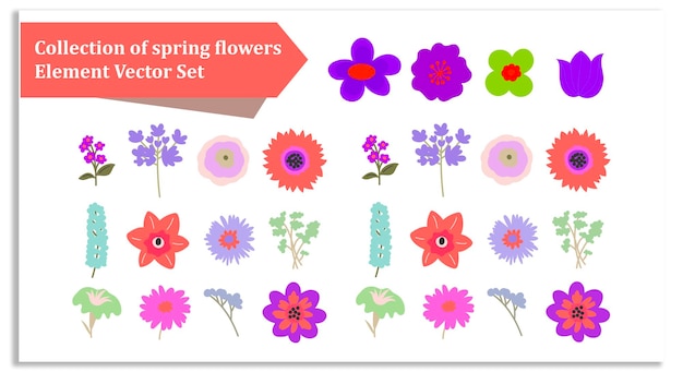 Colección de conjuntos vectoriales de elementos de flores de primavera