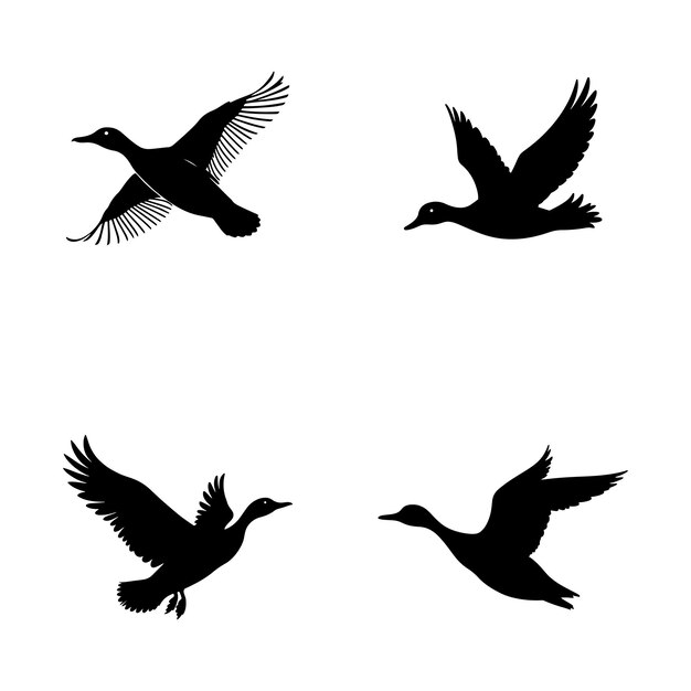 Colección de conjuntos vectoriales de iconos de silueta negra de patos en vuelo