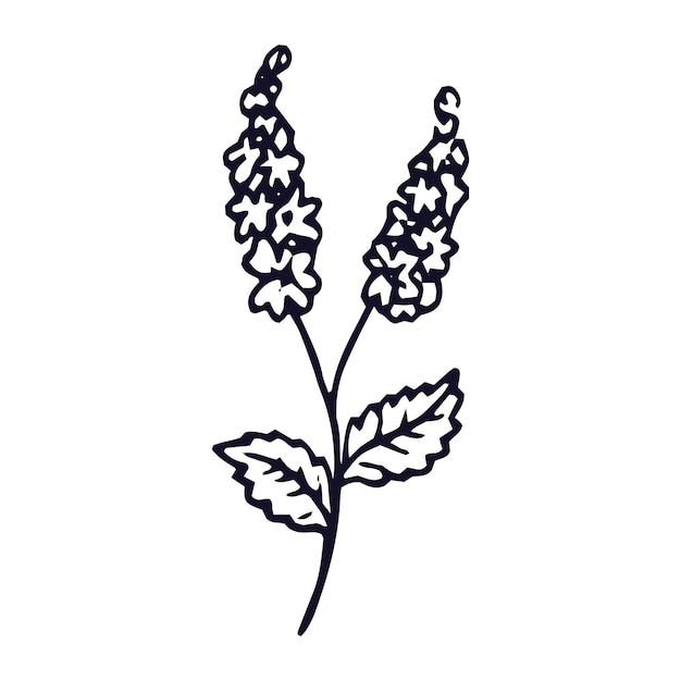 Colección de contornos de flores de diseño plano dibujado a mano