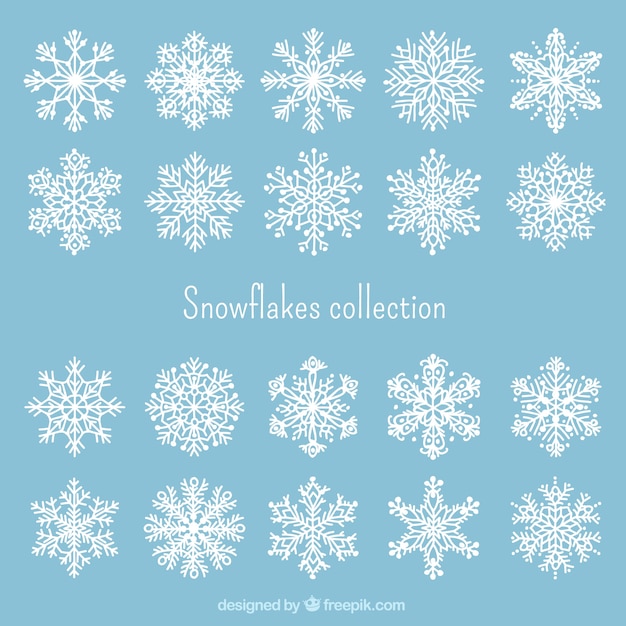 Colección de copos de nieve blanca