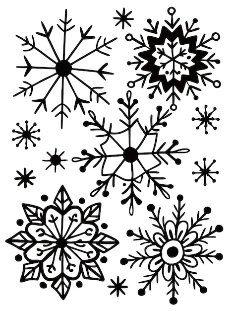 una colección de copos de nieve y flores por el artista