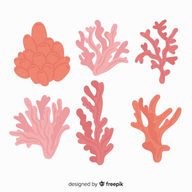 Colección coral dibujada a mano