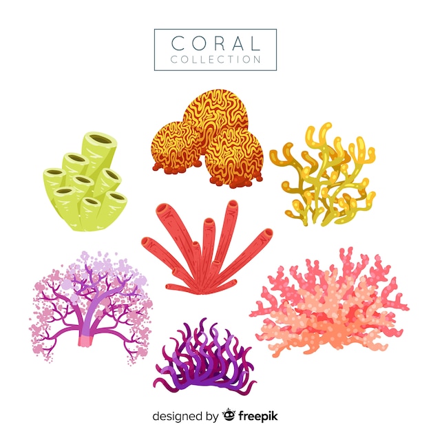 Colección coral dibujado a mano