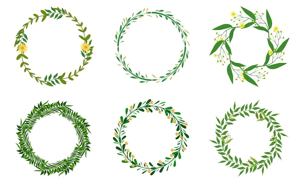 Colección de coronas verdes circulares