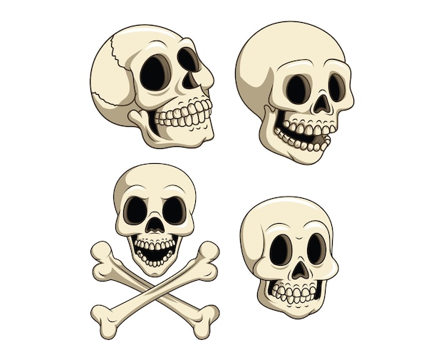 Colección de cráneos humanos aislados en ilustración vectorial de fondo blanco
