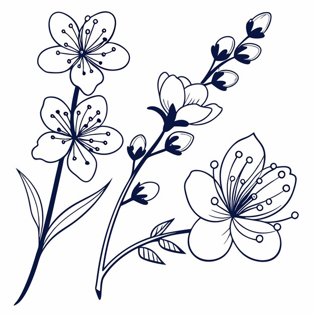 Colección creativa Varios diseños de flores