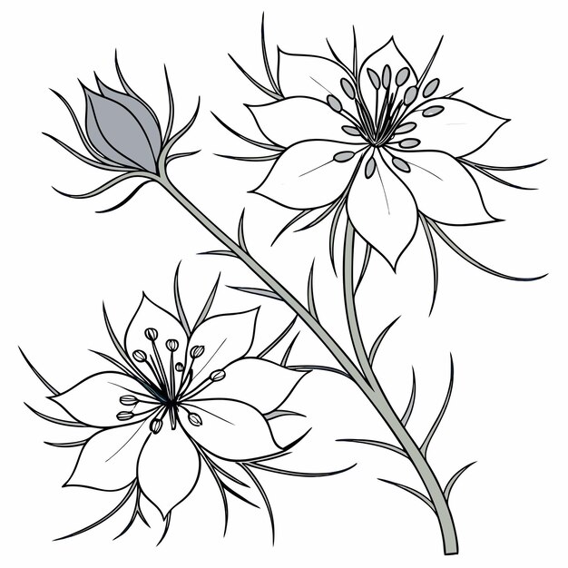 Colección creativa Varios diseños de flores