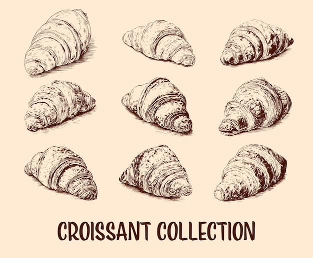 Vector colección de croissants dibujados