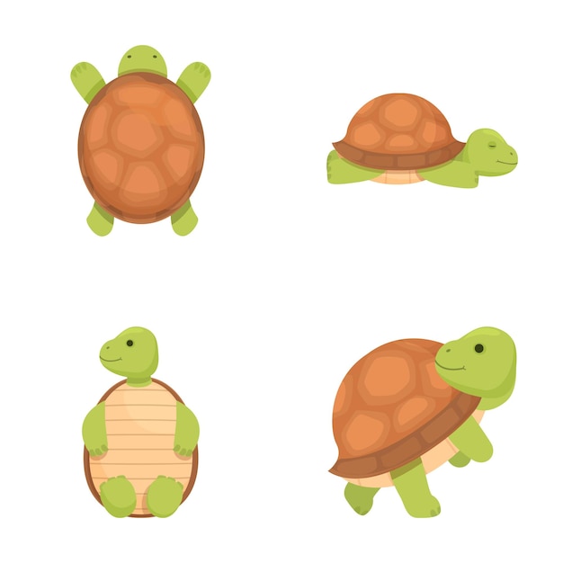 Colección de cuatro adorables y coloridas tortugas de dibujos animados en varias posiciones