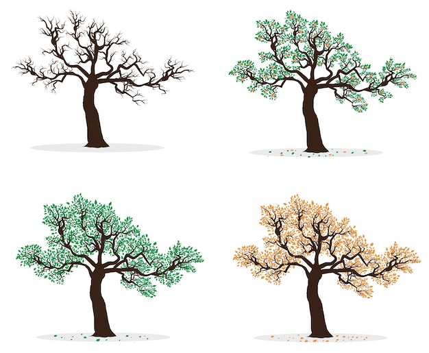 Colección de cuatro árboles de temporada