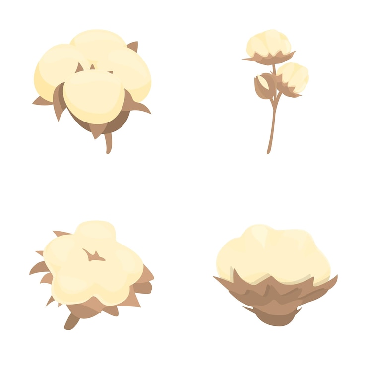 Vector colección de cuatro ilustraciones de bolas de algodón aisladas sobre un fondo blanco que representan plantas de algodán natural