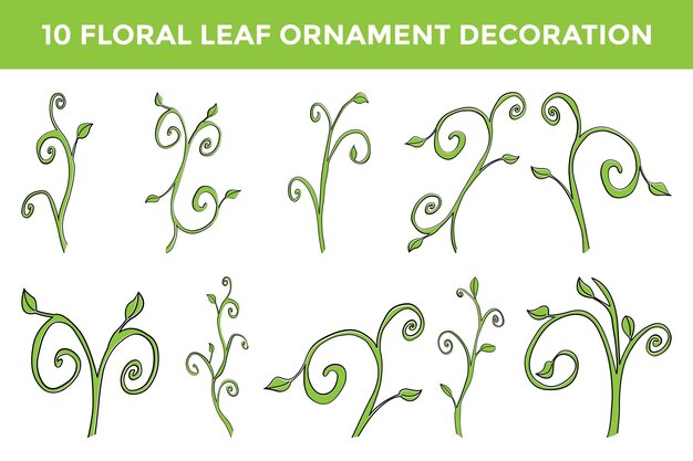 Colección de decoración de adornos florales de hojas.