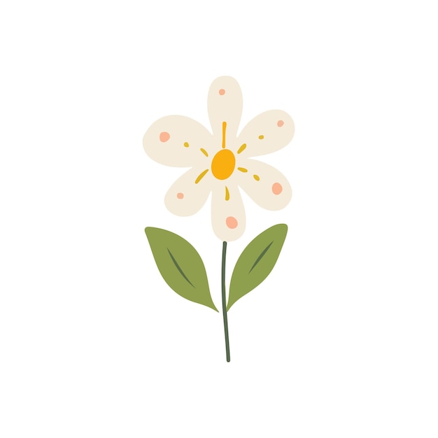 Colección detallada de hermosas flores de primavera