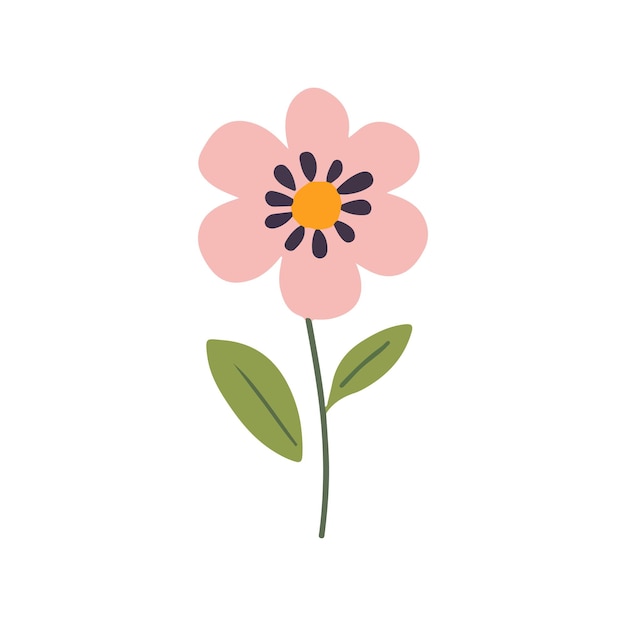 Colección detallada de hermosas flores de primavera