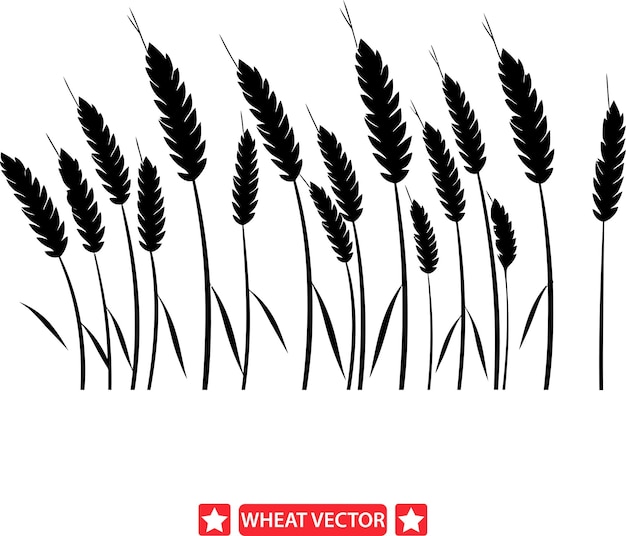 Vector colección detallada de vectores de trigo de harvest bounty