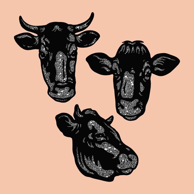Vector colección dibujada a mano de cabezas de vaca de primer plano