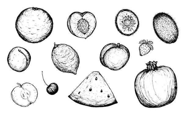 Colección de dibujo de bocetos de frutas y bayas Fruta de garabato dibujada a mano sobre fondo blanco