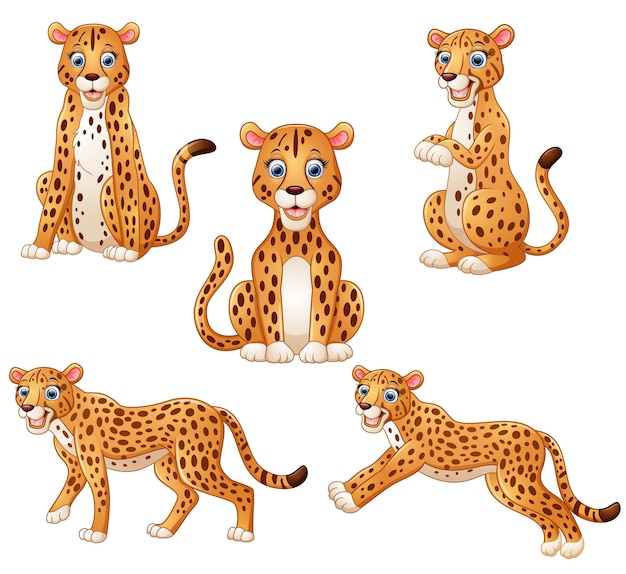 Colección de dibujos animados de leopardo