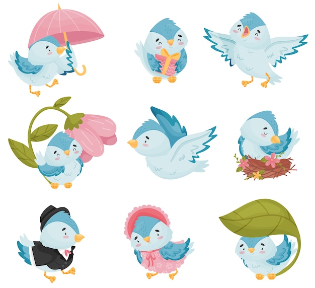 Vector colección dibujos animados pájaros azules