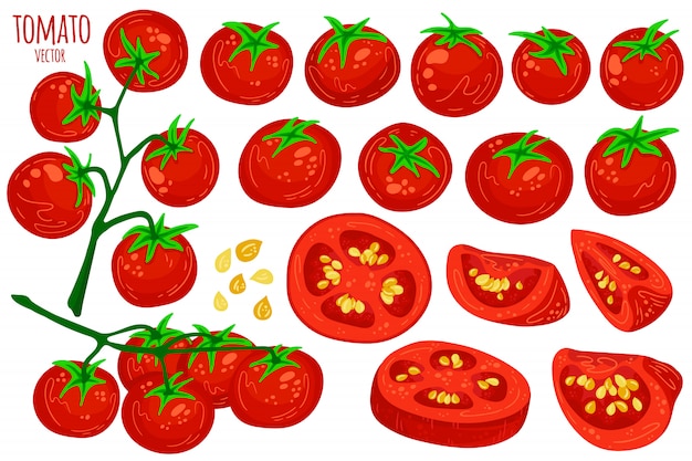 Colección de dibujos animados de tomates frescos.