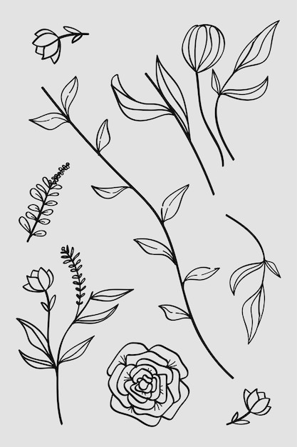 Una colección de dibujos botánicos a mano con flores, hojas y flores silvestres