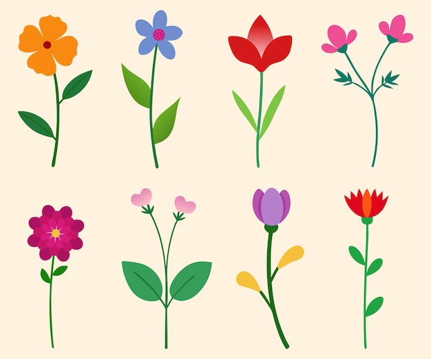 Colección de dibujos de flores silvestres decorativas botánicas de flores elegantes de flores planas dibujadas