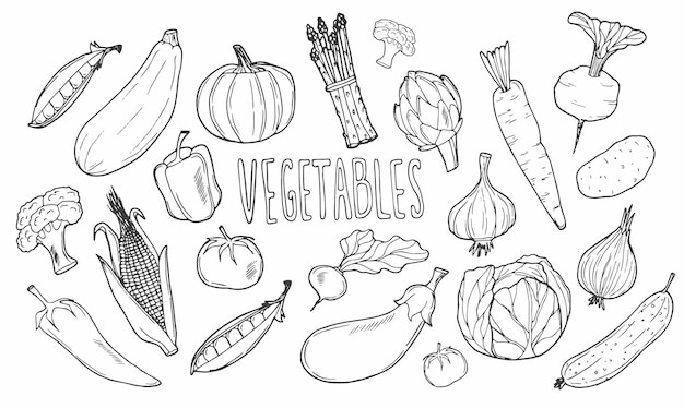 Vector colección de dibujos de garabatos de verduras. vegetales como zanahoria, maíz, pepino, repollo, papa, etc.