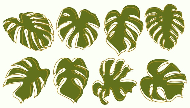 Vector colección de dibujos monstera