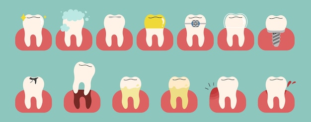 Colección de dientes 3