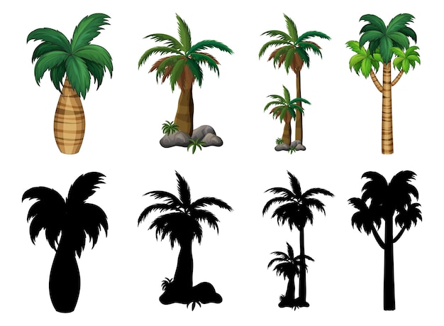colección de diferentes árboles y plantas aislados en fondo blanco