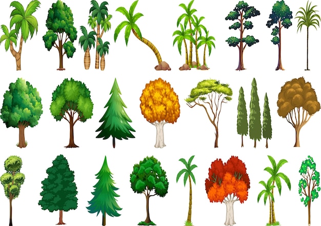 una colección de diferentes árboles y plantas
