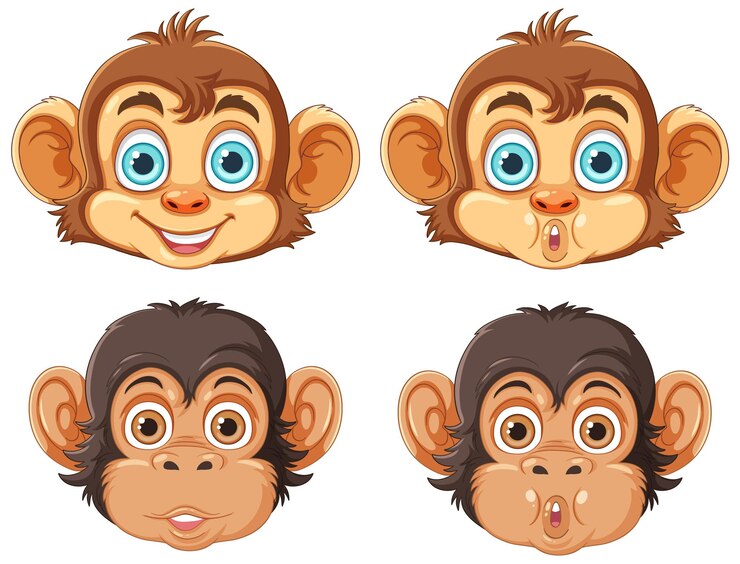 Vector colección de diferentes cabezas de mono