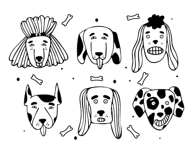 colección de diferentes cabezas de razas de perros