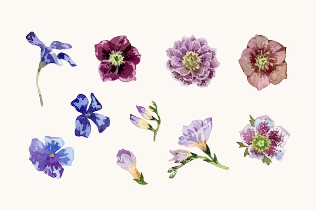 Colección de diferentes elementos de flores en acuarela