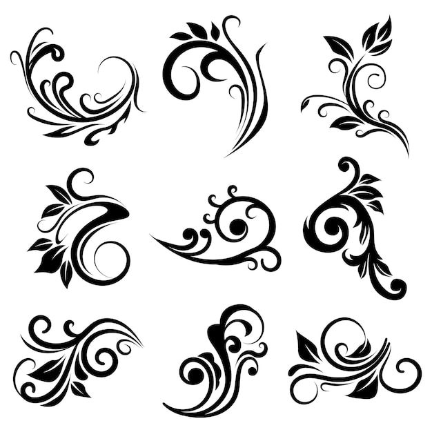 Colección de diferentes elementos de follaje de las ramas del rollo