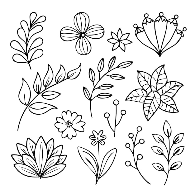 una colección de diferentes flores y hojas del jardín