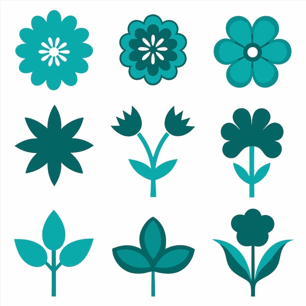 una colección de diferentes flores y hojas