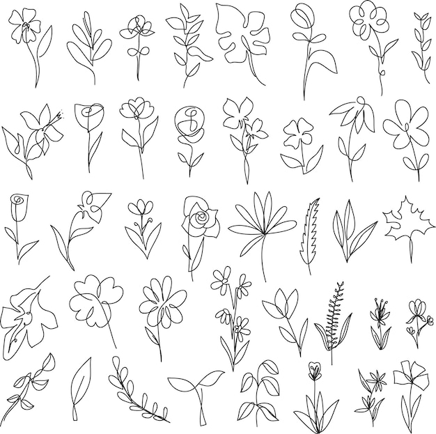 una colección de diferentes flores y hojas